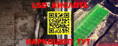 прущие грибы Новодвинск