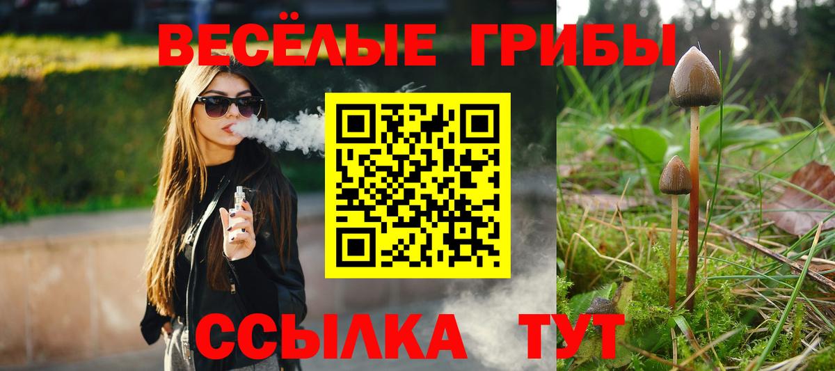 Псилоцибиновые грибы Cubensis  Галлюциногенные грибы мухоморы  Вход с VPN  Архангельск 